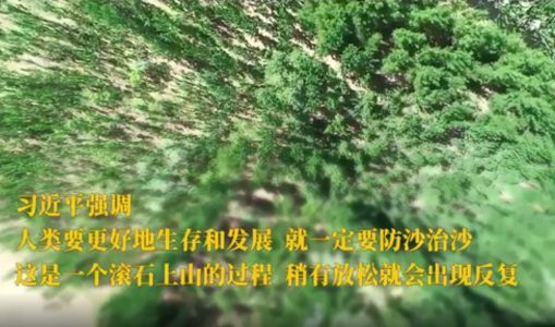 第1视点｜习近平考察“三北”防护林体系工程建设