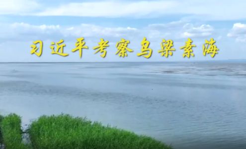 第1视点丨习近平考察乌梁素海